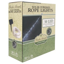 Load image into Gallery viewer, 50 LED Bright White Solar Rope Light